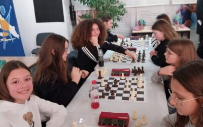 Ostrožići na županijskom natjecanju u šahu